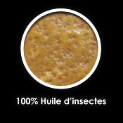 NAUTY – Pack 5 L bouillettes AMORSACTIV + (amorçage) & 300 g huile d’insectes 