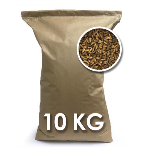 NAOTY – Insectes déshydratés pour Oiseaux à Becs Crochus – 10 kg