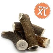 LOT DE 2 - Bois de cerf - Friandise taille XL à mâcher 